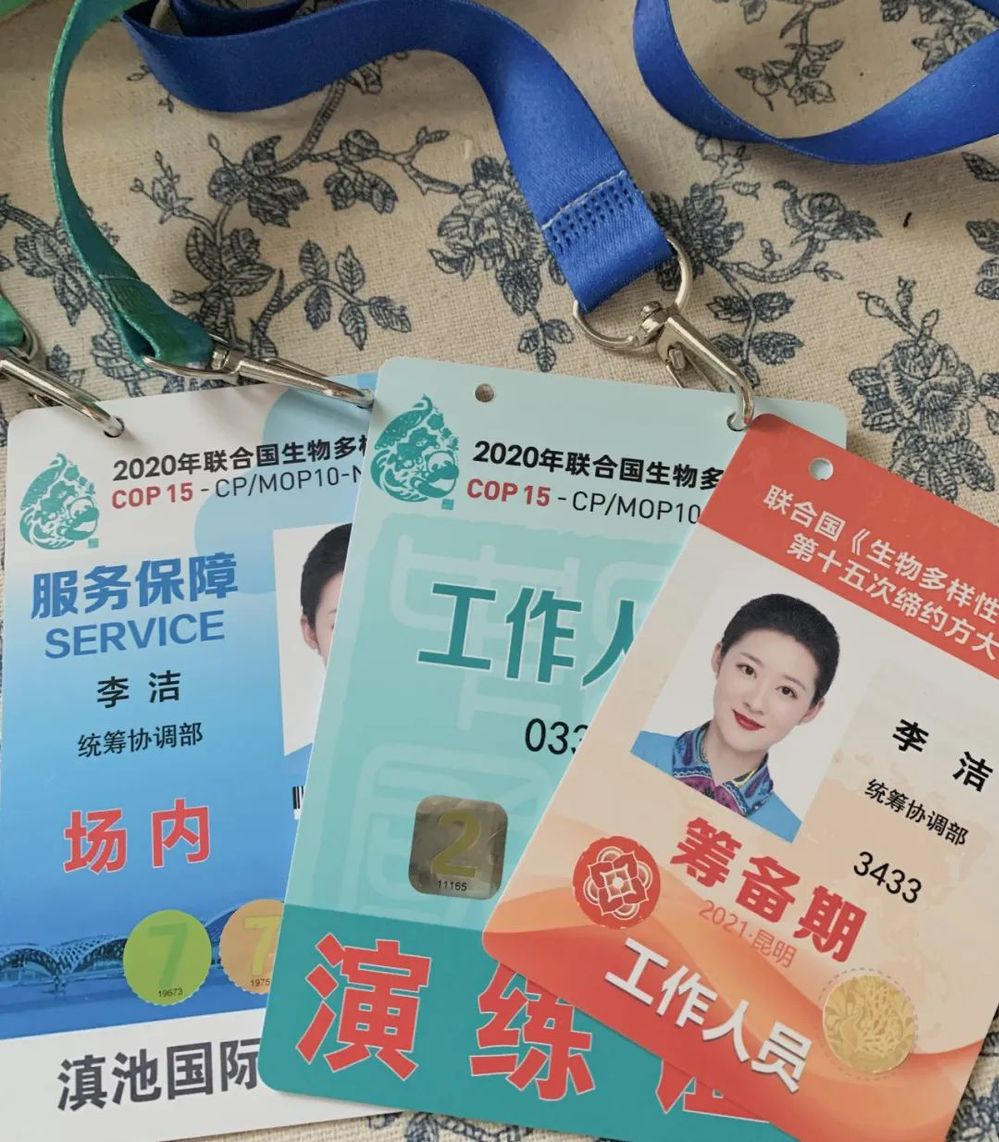 李洁 | 努力，让空乘之梦成为现实